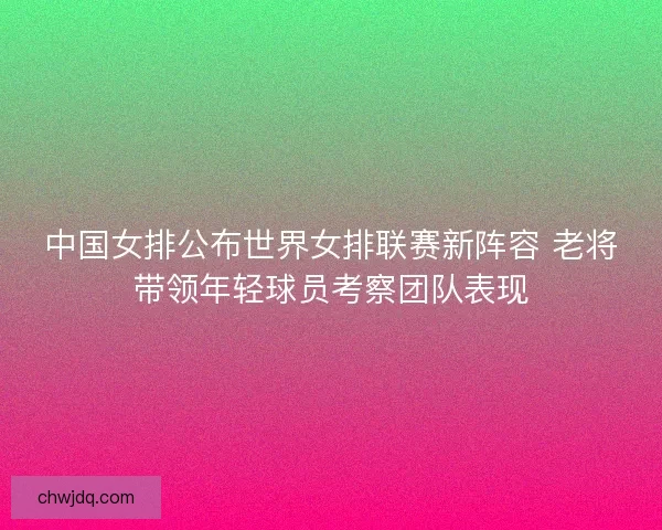 中国女排公布世界女排联赛新阵容 老将带领年轻球员考察团队表现