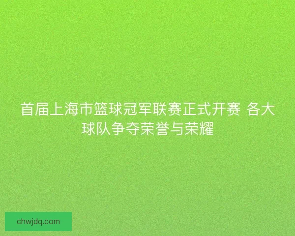 首届上海市篮球冠军联赛正式开赛 各大球队争夺荣誉与荣耀